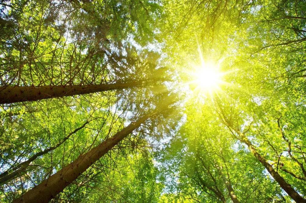 太阳|昆明的太阳 那个会画油画的昆明的太阳……