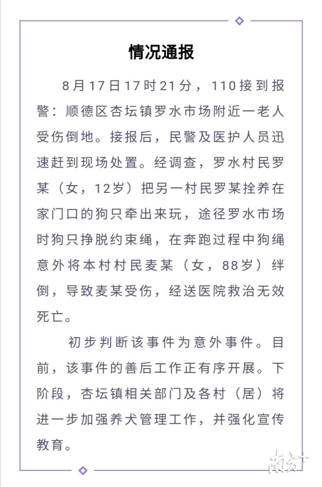 狗绳绊倒老人 意外 谁该担责 律师 狗主人和牵狗人都有责任 腾讯新闻