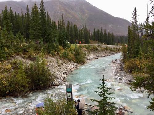 卡尔加里|悲剧！加拿大34岁女子在公园拍照时不慎落水，不救身亡