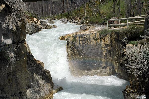 卡尔加里|悲剧！加拿大34岁女子在公园拍照时不慎落水，不救身亡