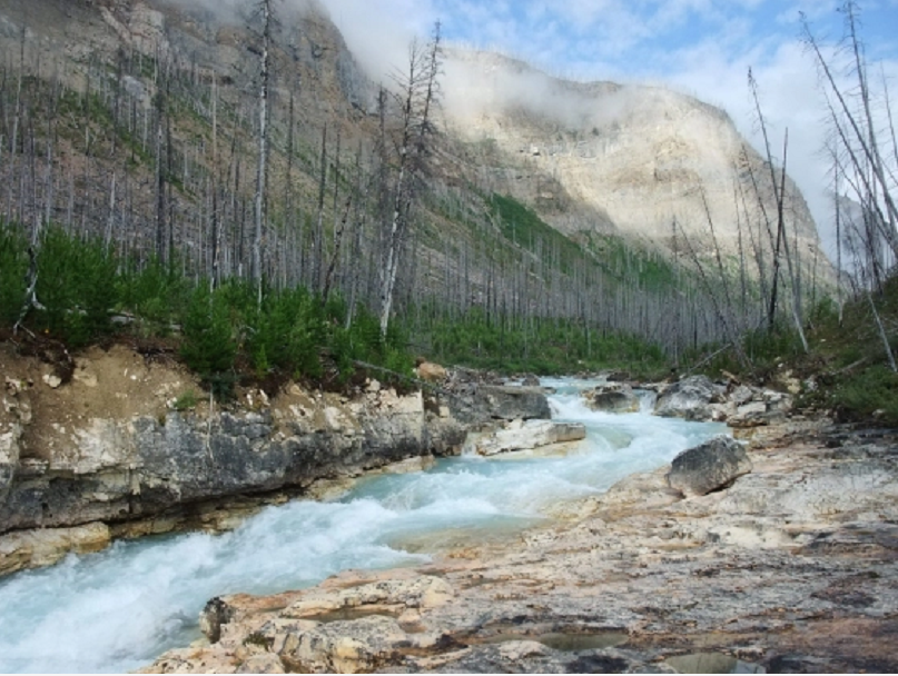 卡尔加里|悲剧！加拿大34岁女子在公园拍照时不慎落水，不救身亡