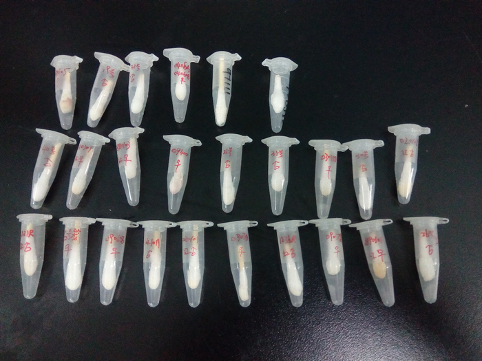 北京大学|北大科研人员称被“打击报复”研究猴B病毒 原领导回应称“不接触病毒”