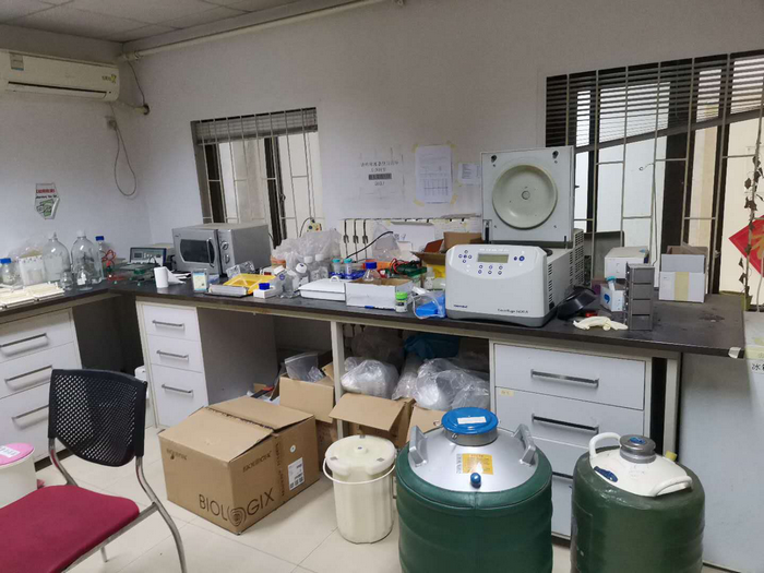 北京大学|北大科研人员称被“打击报复”研究猴B病毒 原领导回应称“不接触病毒”