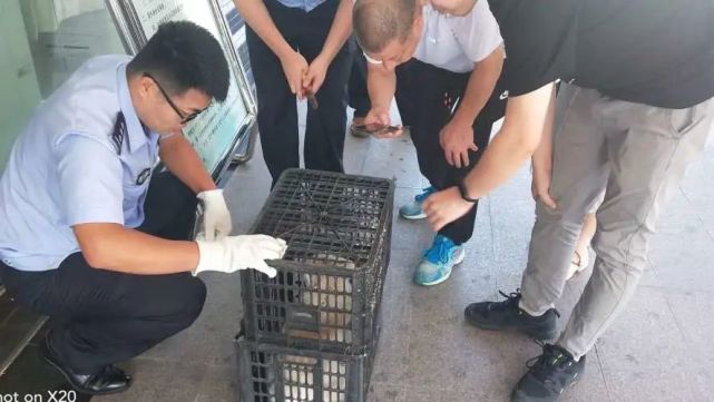 警民同携手|义渡警事｜警民同携手 共救小白狐