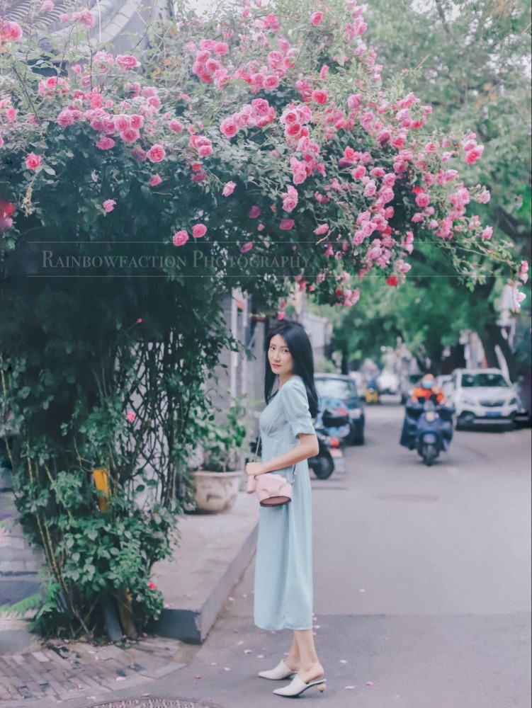 五月天|初夏北京的胡同里，藏着最美的月季花五月的最后一天～你有