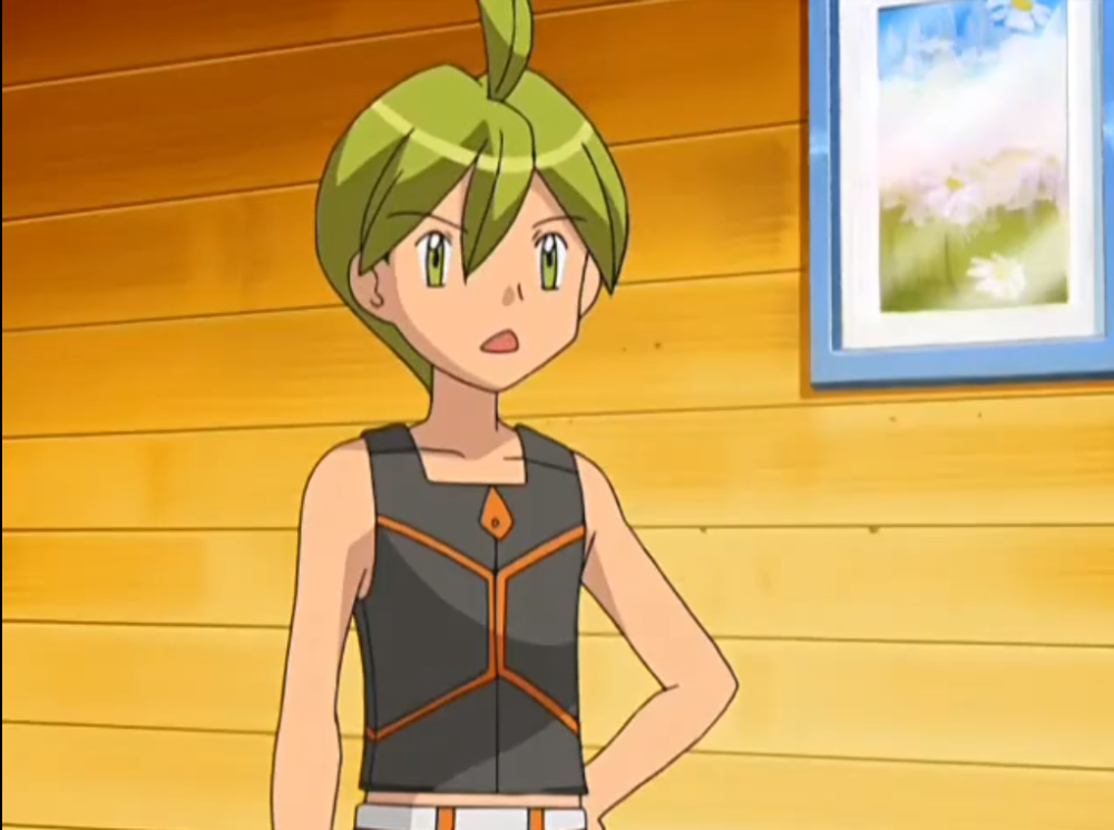 阿柳是神奥地区的虫系天王,应该是全地区天王中最好打的,毕竟第四世代