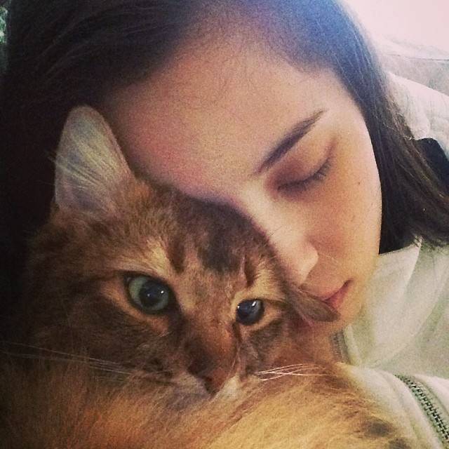 为何猫系总能受到大家的追捧 揭秘金智妮水原希子的百变猫相脸 腾讯新闻