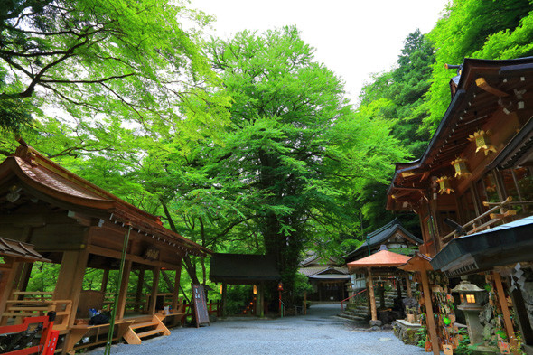 日本京都贵船神社值得去一次的景点