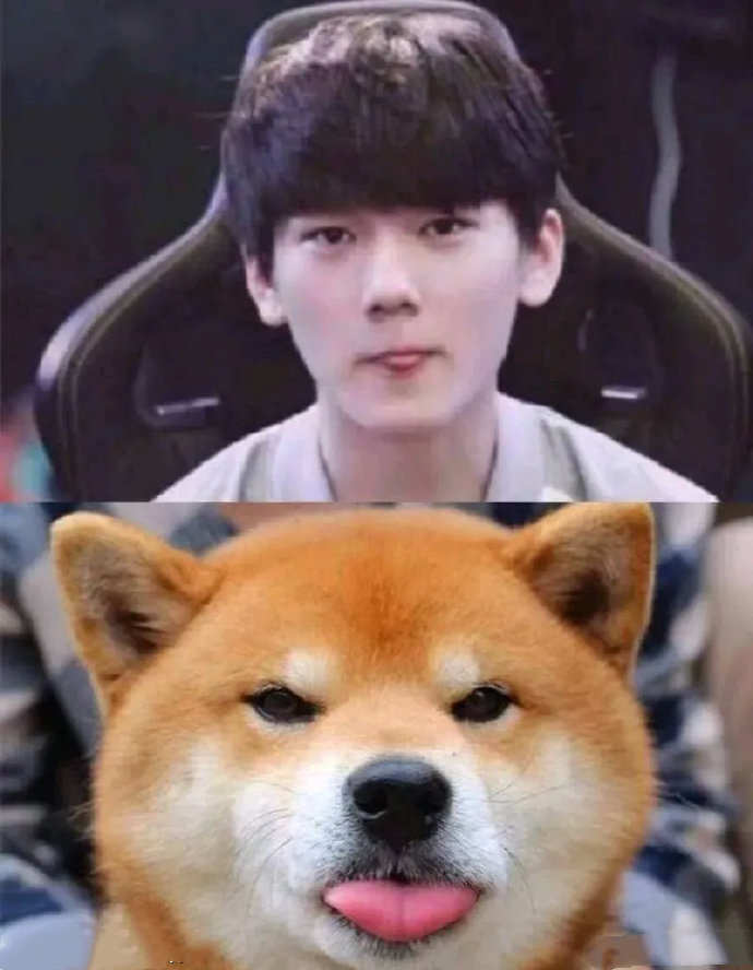 这吐舌,这不屑一顾的小表情,怕不是柴犬人柱力哦~forge——蕉太狼