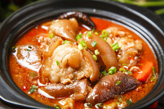 炖猪脚"吃货福音,吃起来好吃还不肥腻,营养又入味