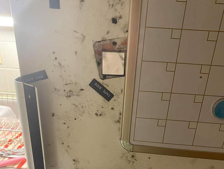 驻韩美军|美军基地变霉菌基地：驻韩美军宿舍发霉，画面惨不忍睹