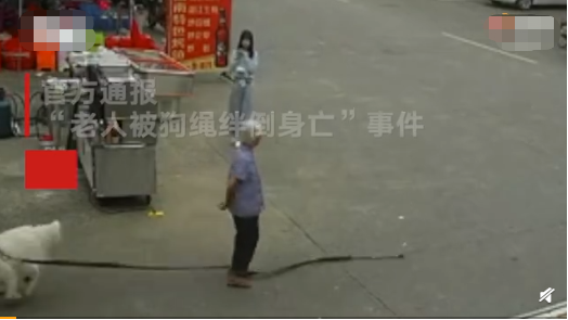 民法典|狗绳绊倒老人致其身亡如何判定责任？民法典这样规定