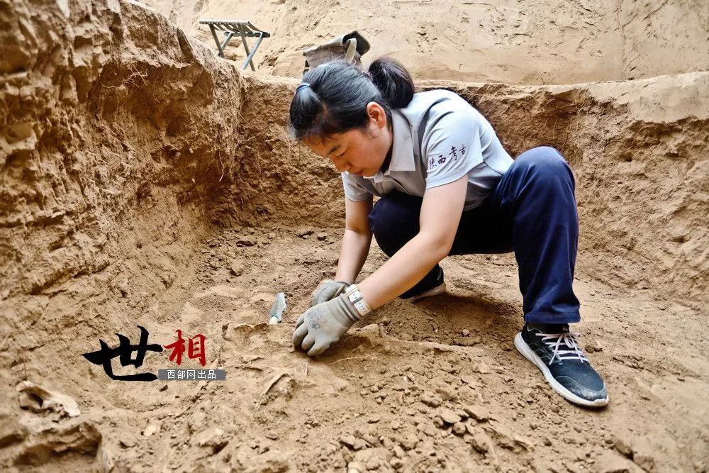 考古|女生学考古是什么体验？走近工作7年的陕西女考古队员