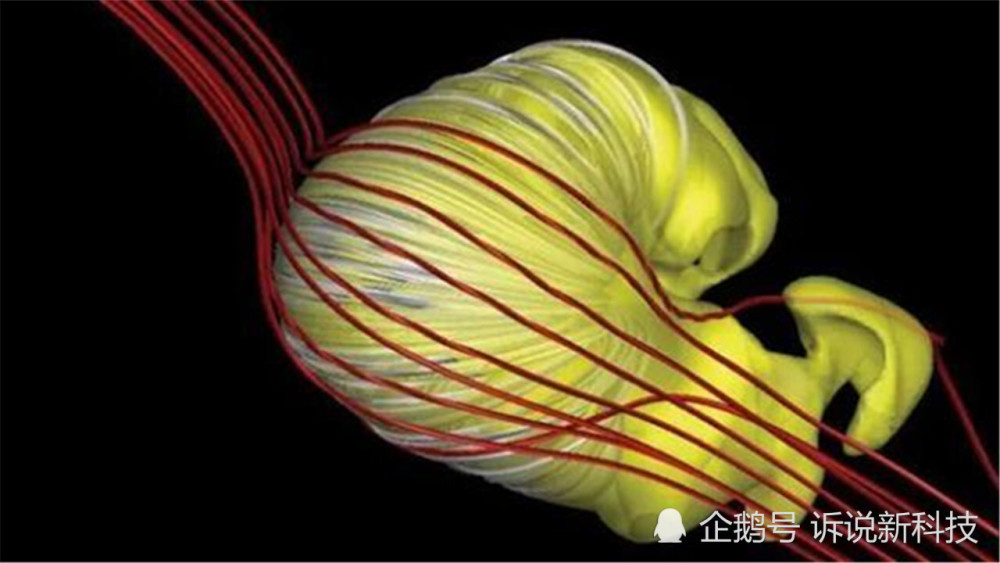 科学家|科学家还原太阳系的形状，看到照片后，网友：这才是“大胃王”！