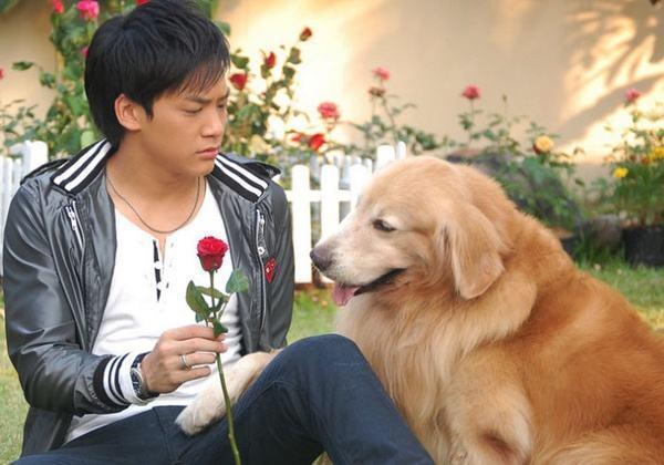 女扮男装泰剧也有,不过风头全让一只狗抢了,《爱在旅途》你看过没有