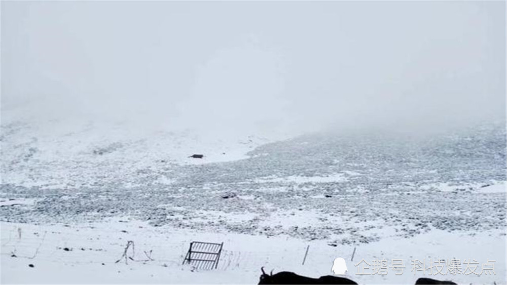 科学家|我国8月降雪，美国54度高温，为何气候会变得如此极端？