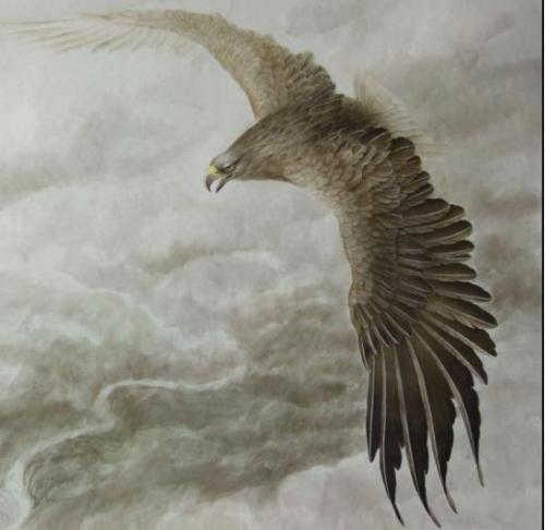 逍遥游:鲲鹏是鱼还是鸟,鲲鹏的真实写照