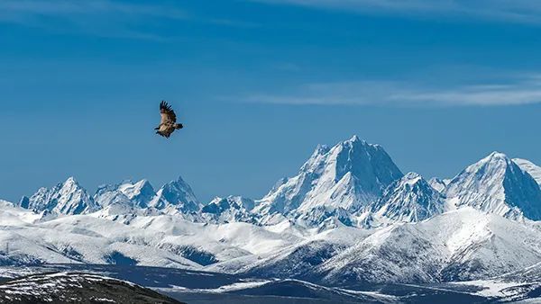 捕捉光影中的雪山秘境 摄影师嘉楠的摄影故事 腾讯新闻