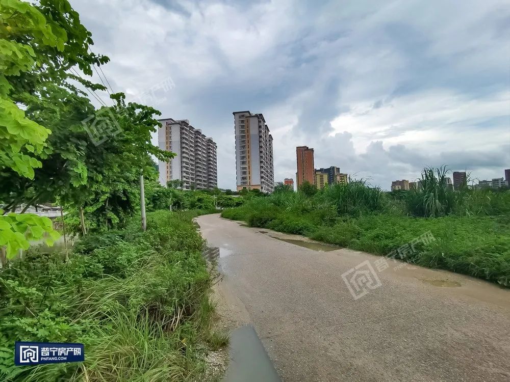 普宁人期盼的河滨南路即将建设,现已启动招标!