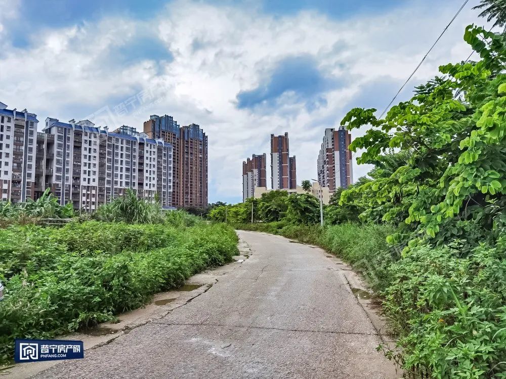 普宁人期盼的河滨南路即将建设,现已启动招标!