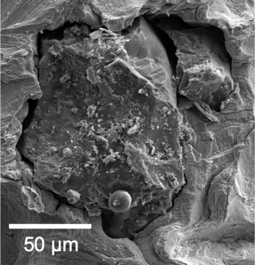 月球|“阿波罗登月的肮脏秘密”