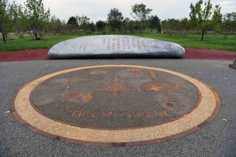 绿心森林公园|探访城市绿心森林公园