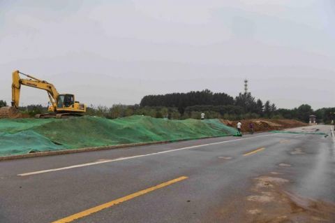 绿心森林公园|探访城市绿心森林公园