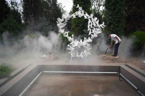 绿心森林公园|探访城市绿心森林公园