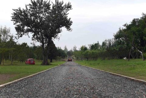 绿心森林公园|探访城市绿心森林公园