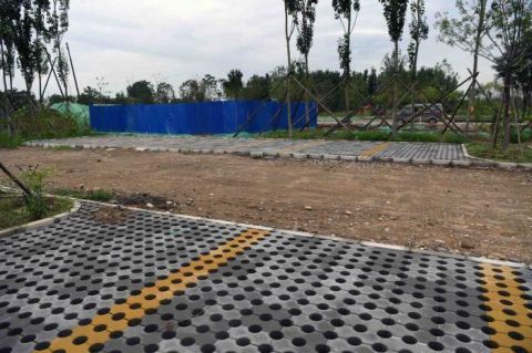 绿心森林公园|探访城市绿心森林公园