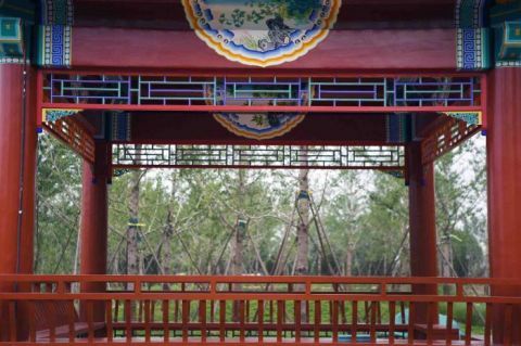 绿心森林公园|探访城市绿心森林公园