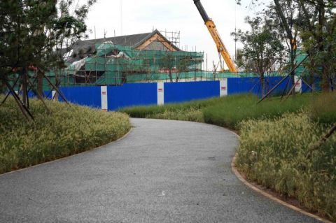 绿心森林公园|探访城市绿心森林公园