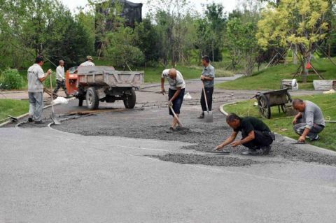 绿心森林公园|探访城市绿心森林公园