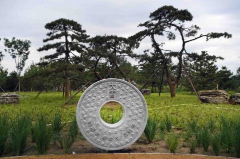 绿心森林公园|探访城市绿心森林公园