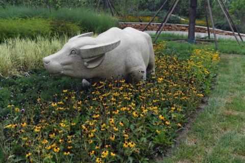 绿心森林公园|探访城市绿心森林公园