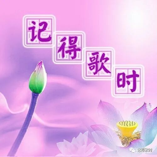 李海山|【山西】李海山