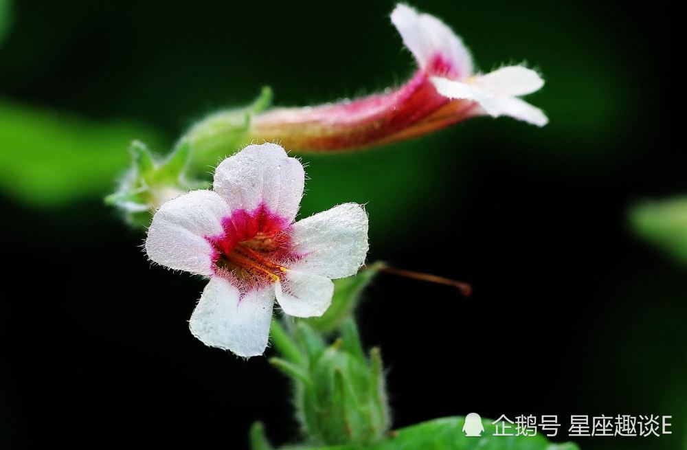 8月日 22日星座运势 白羊拼尽全力 狮子主动迎战 天蝎化险为夷 腾讯新闻