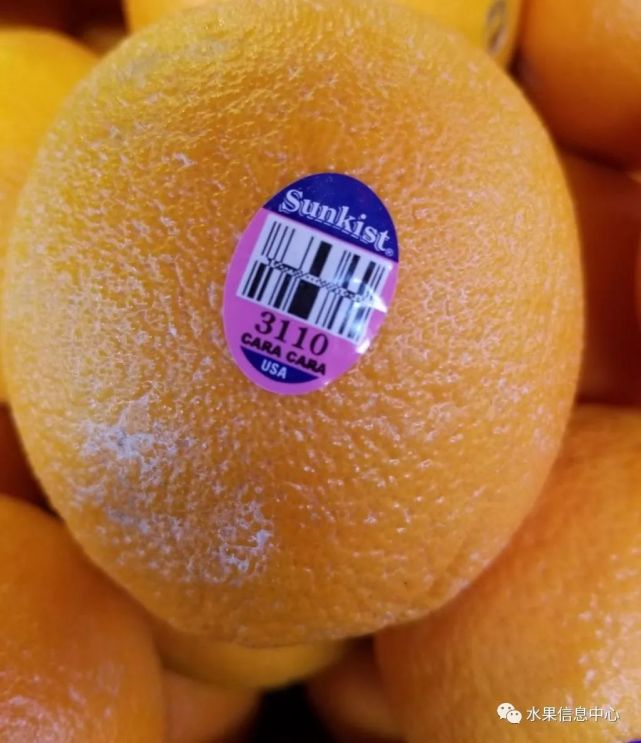 19种进口橙子知识大全 美国佛罗里达州 血橙 橙子