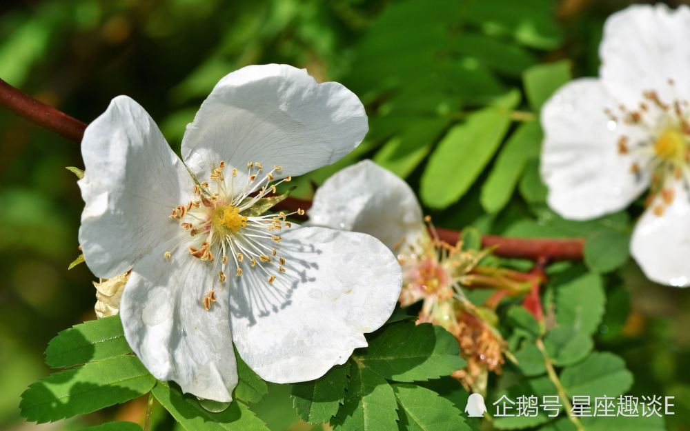 8月日 31日星座运势 双子人缘不错 摩羯井然有序 水瓶深思熟虑 腾讯新闻