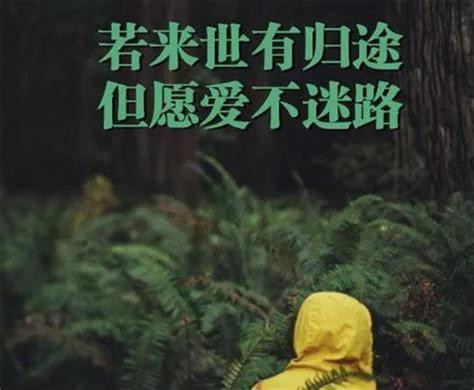 就让暴风雨来得更猛烈些吧!