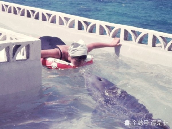 因为发生了意想不到的事情而终止|玛格丽特|大脑|nasa|海豚