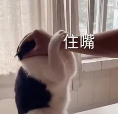 化粪池|化粪池警告、七夕是头七…这些恶臭烂梗究竟长在谁的笑点上？