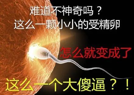化粪池|化粪池警告、七夕是头七…这些恶臭烂梗究竟长在谁的笑点上？