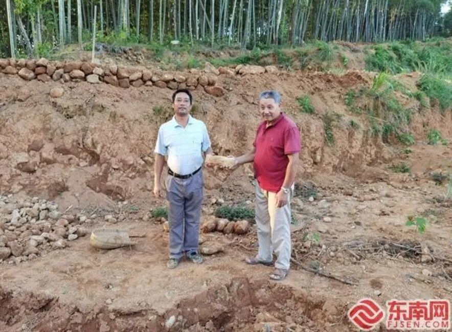 新石器时代|宁德中心城区首次发现新石器时代生活工具 距今3000多年