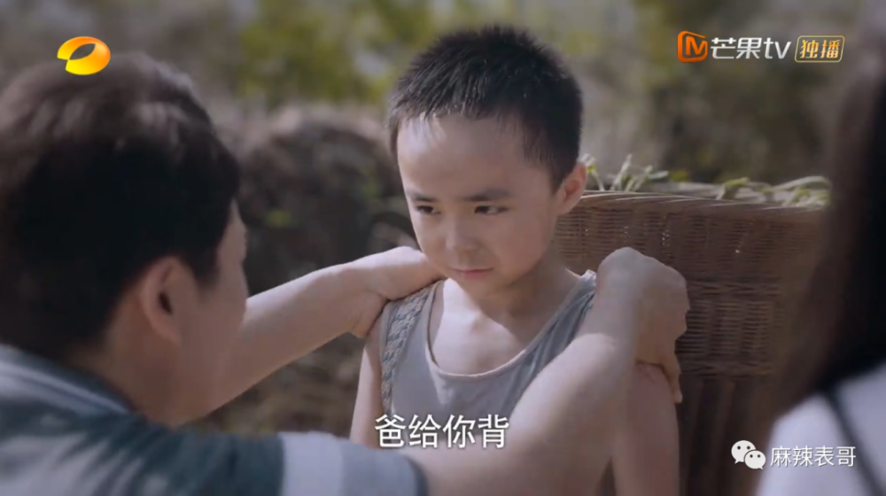 贺子秋|以家人的名义谈恋爱？这糖我吃不下
