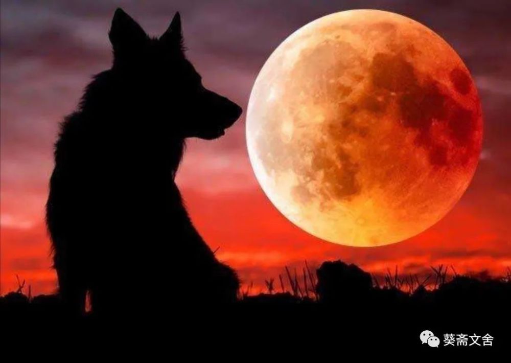 葵先生|葵先生诗词十二首