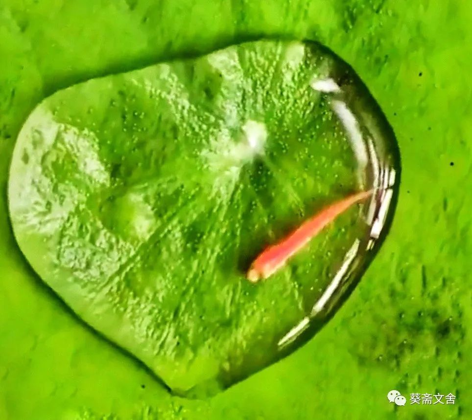 葵先生|葵先生诗词十二首