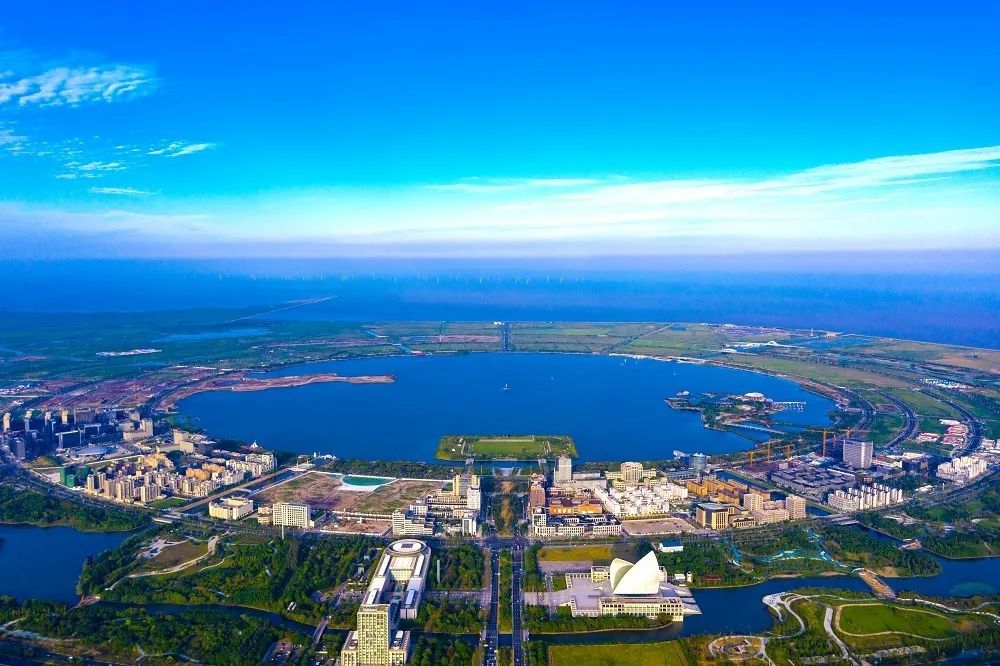 上海自贸区临港新片区一周年一年来银行业为它做了这些