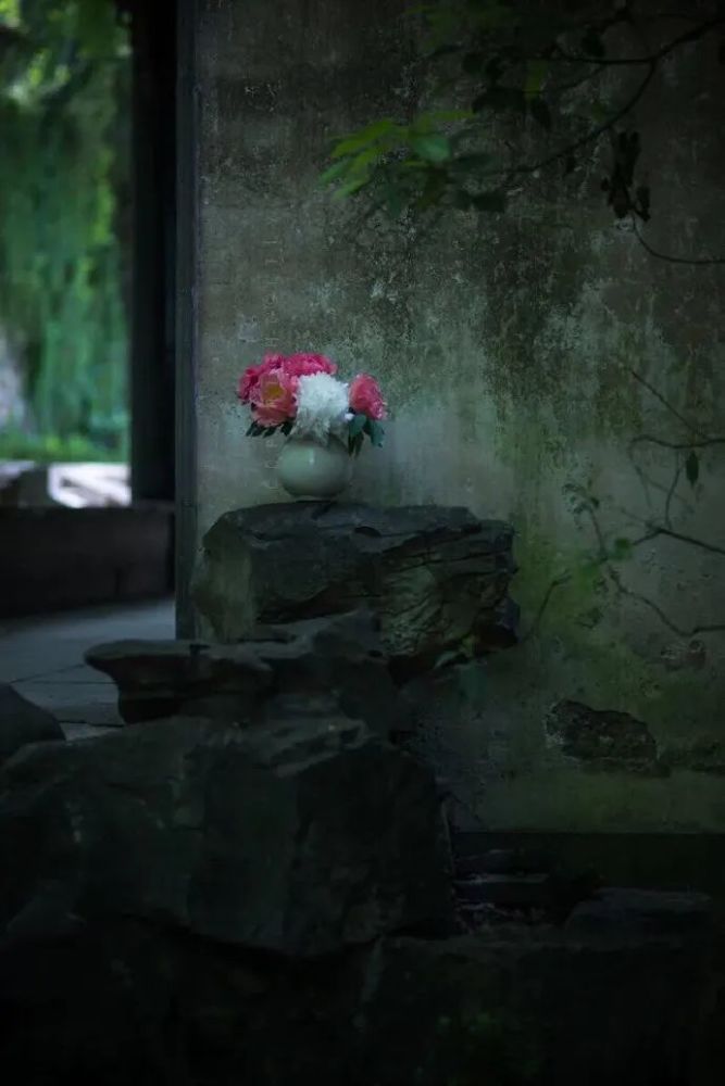 秋雨|夏去秋来，一枕新凉