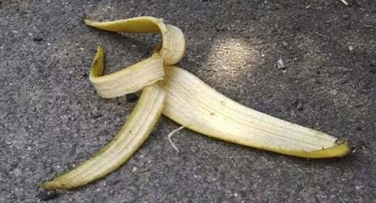 香蕉皮,果壳,果仁,如何从垃圾变为养花宝?这么办轻松搞定